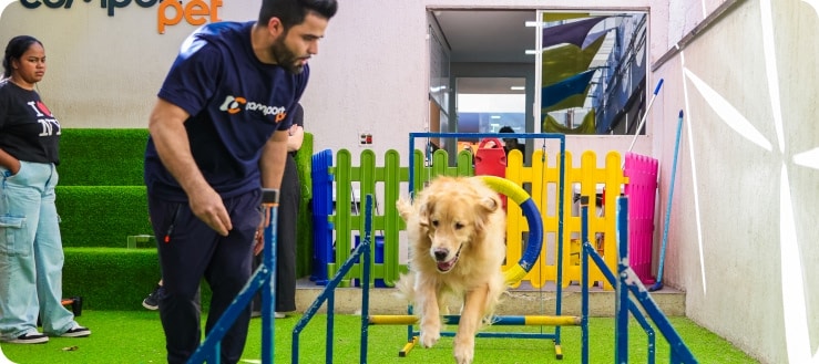 Profissional da Comport Pet acompanhando um cão em uma atividade de agilidade